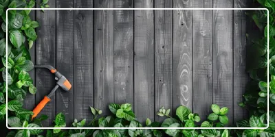 This image for Image Layouts addon